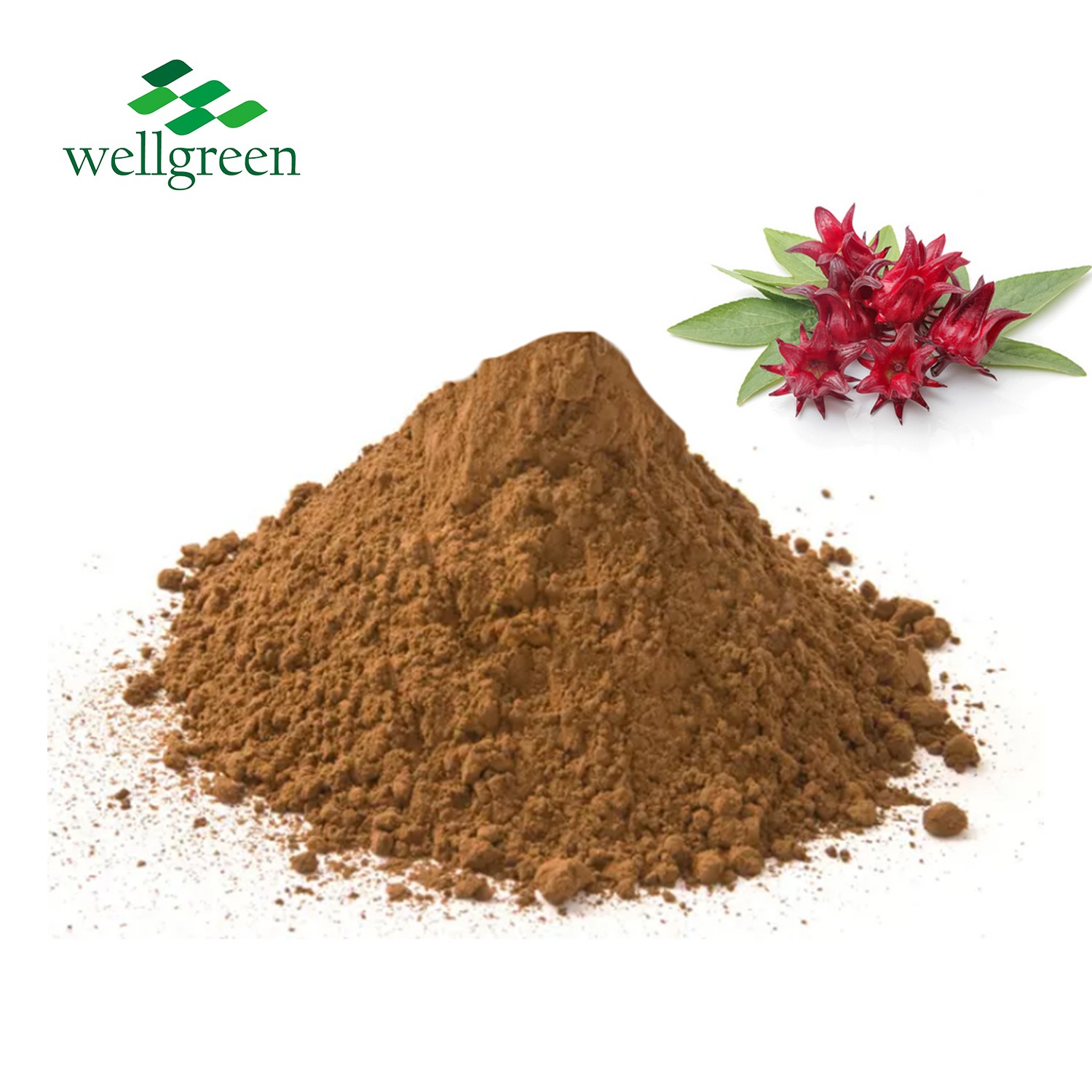 Hibiscus Sabdariffa Extract